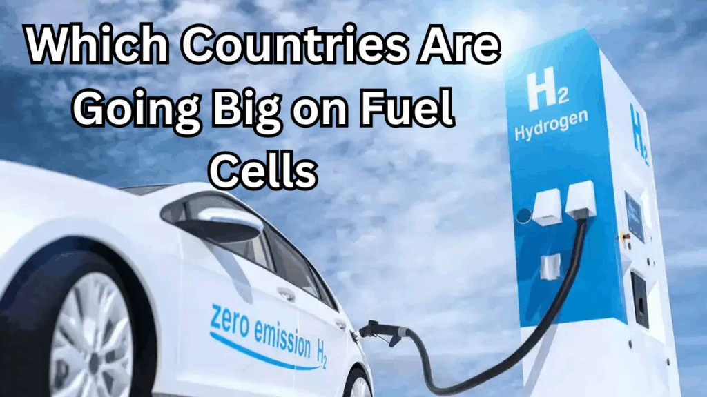 Hydrogen Cars in 2025: Which Countries Are Going Big on Fuel Cells