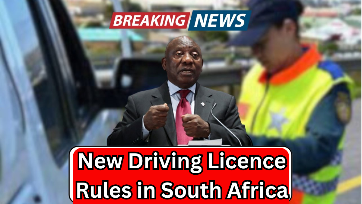 New Driving Licence Rules in South Africa 2025 – What Changed